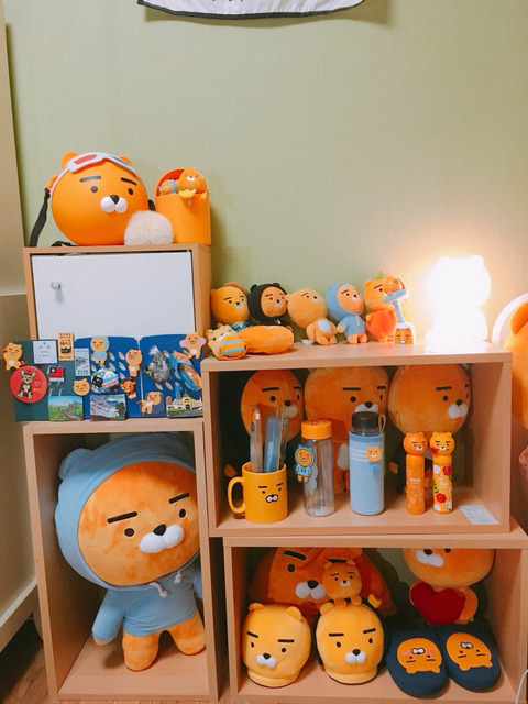 라이언 덕후의 방.jpg | 인스티즈
