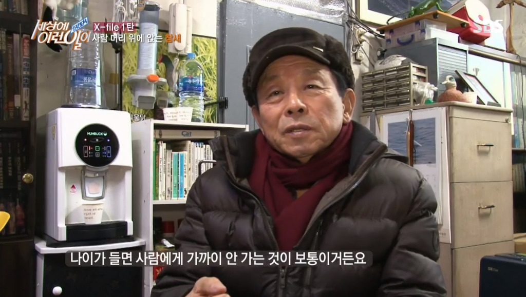 [세상에이런일이] 엄청 충격적이였던 오늘편 사람을 좋아하는 참새 새순이 이야기.jpg | 인스티즈