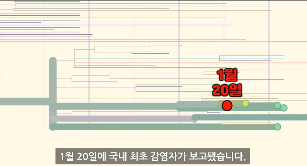 한국의 코로나19 감염원 노출은 언제부터였을까? (입국금지 골든타임 미리 알 수 있었을까?) - 과학적 분석 | 인스티즈