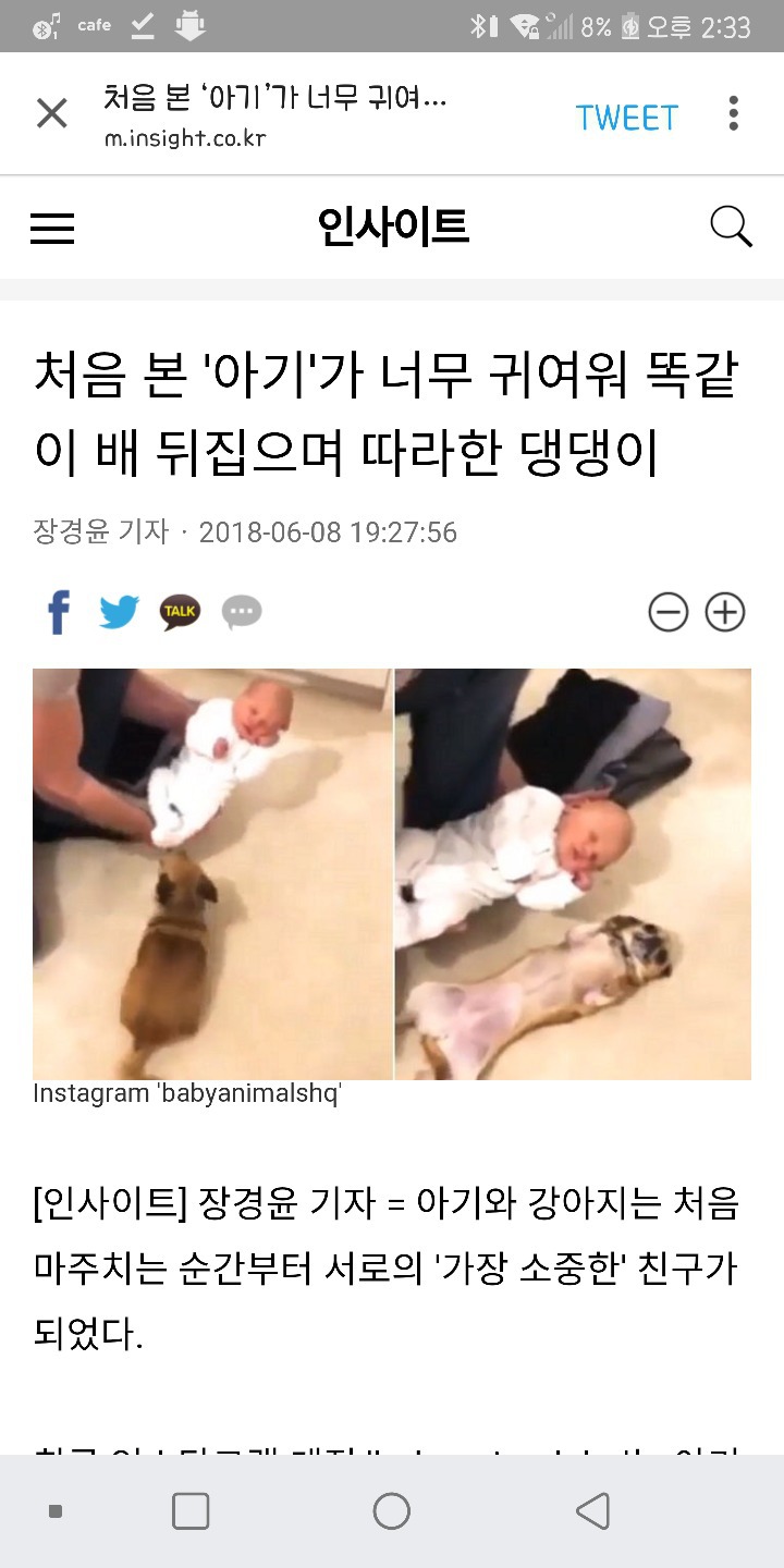 처음본 아기가 너무 귀여워 똑같이 배뒤집으며 따라한 댕댕이 | 인스티즈