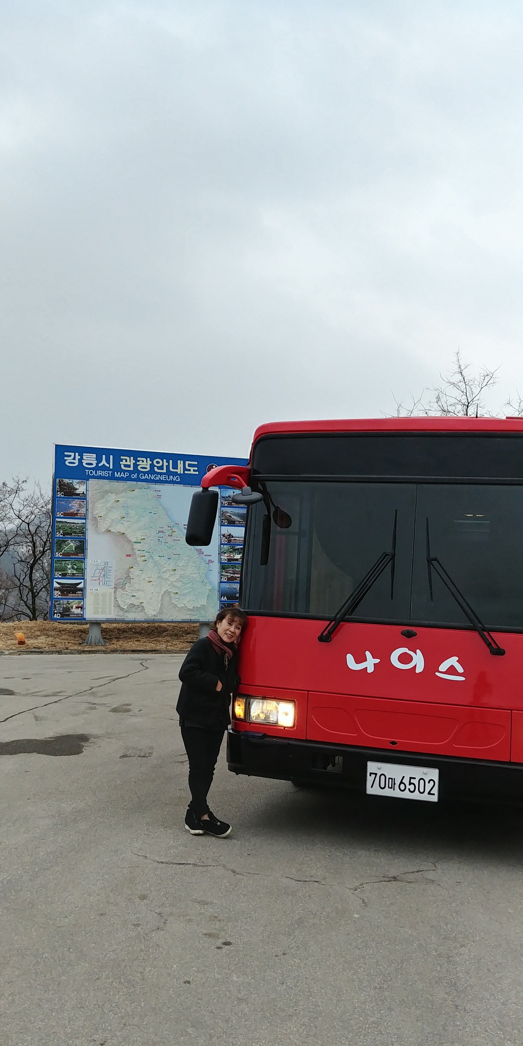 소 달구지 이미지