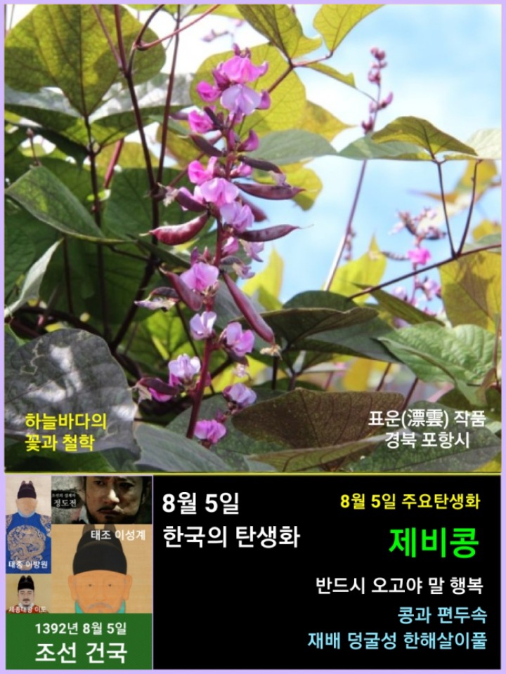팥사랑 이미지
