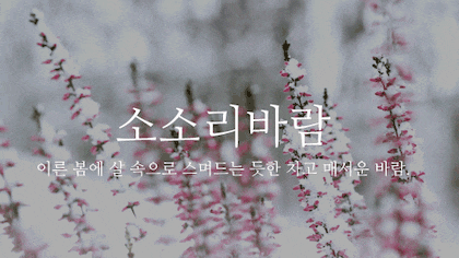 뜻이 이쁜 순우리말 모음.gif | 인스티즈