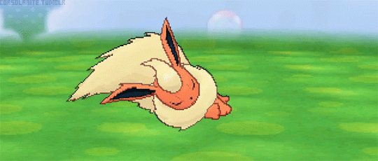 이브이의 진화형 | 인스티즈