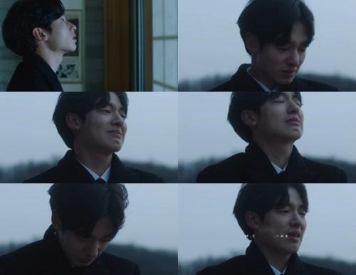야생화 vs 어디에도 | 인스티즈