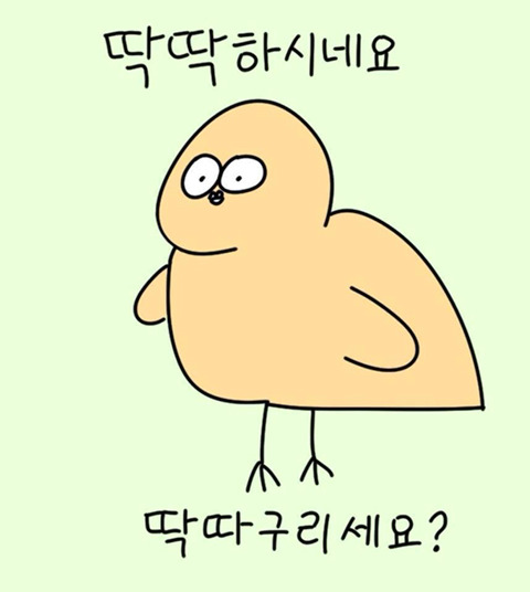 더어 이미지