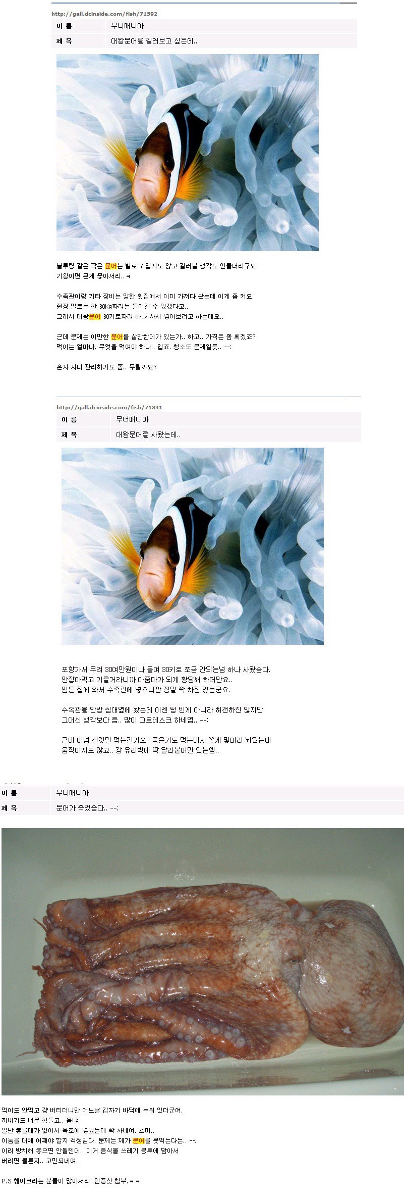 문어가 죽었슴다; | 인스티즈