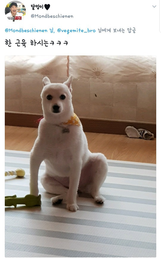 댕댕이 역변 레전드.jpg | 인스티즈