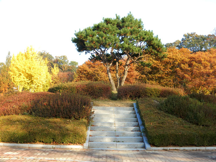 탑환경 이미지