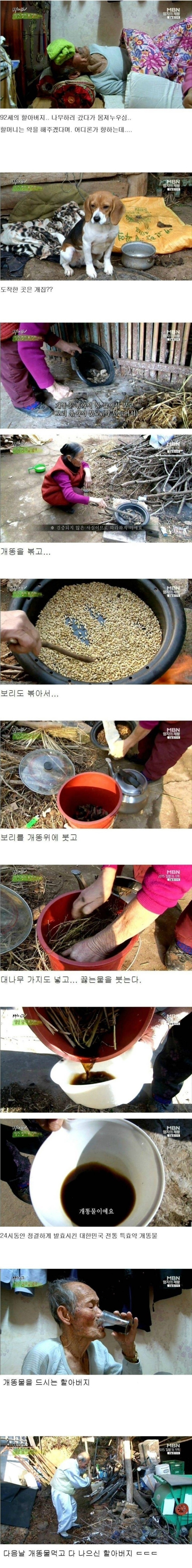 개똥물의 효능.JPG | 인스티즈