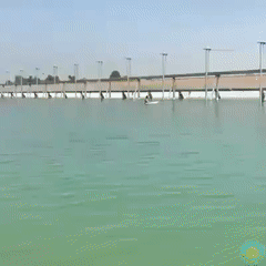 인공 서핑.gif | 인스티즈