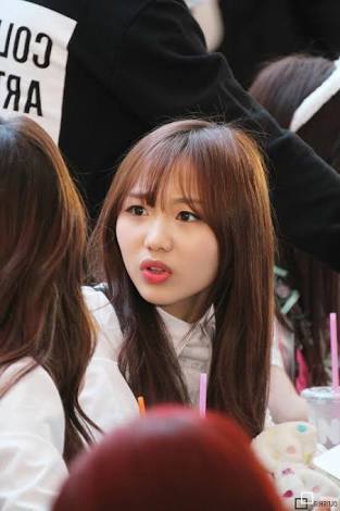 예송 이미지