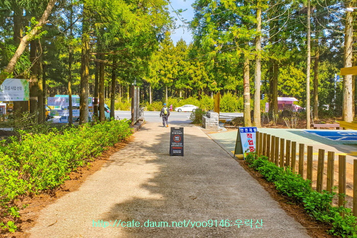 숲길 이미지
