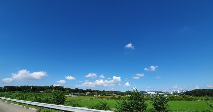 99DEC33E5D47A1811E4EED