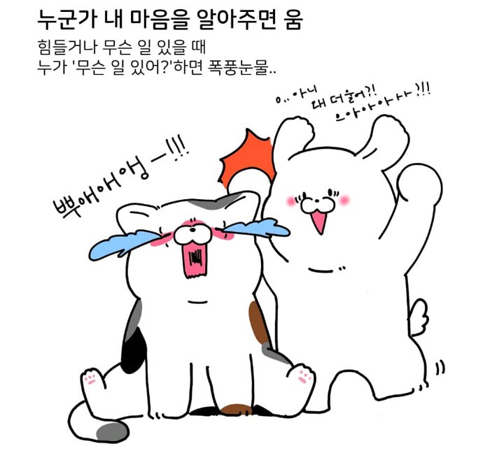 눈물 많은 울보 특징 | 인스티즈