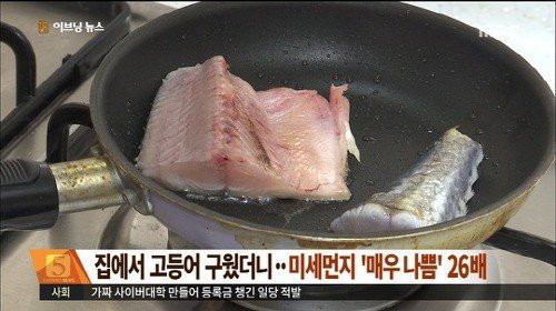 503 때 미세먼지 대책 | 인스티즈