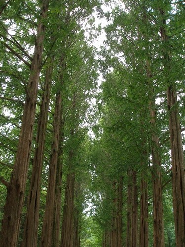 동영 이미지