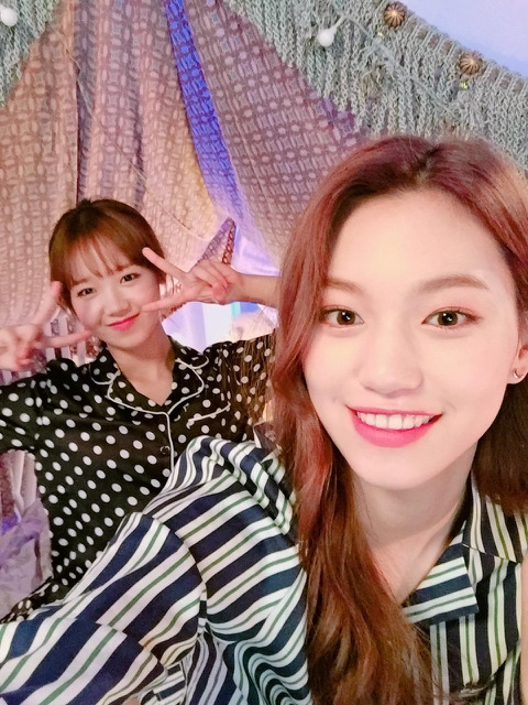 위미 이미지