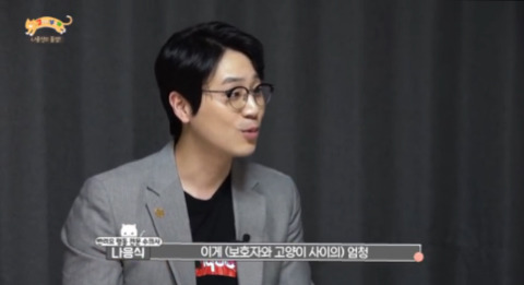 고양이가 아니라 인형을 키우는듯한 집 .jpg | 인스티즈