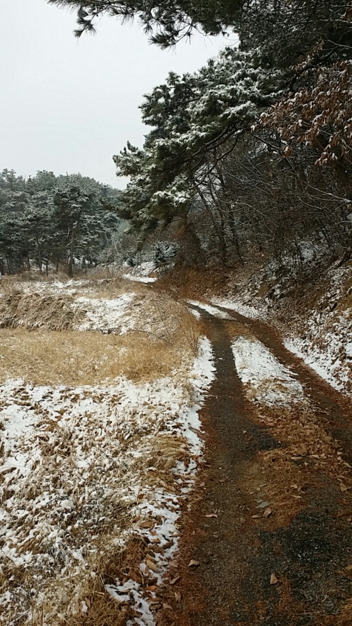 장군산 이미지