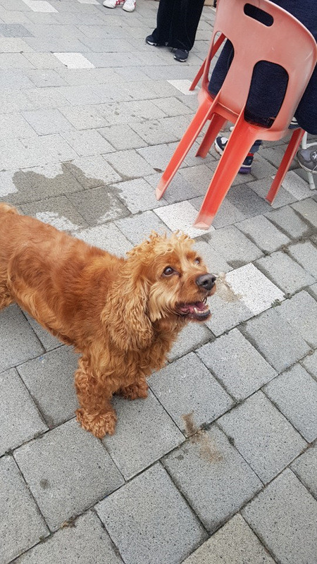 보담 이미지
