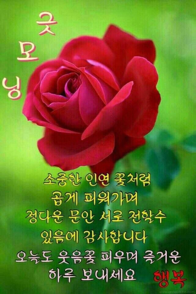 토요일 이미지
