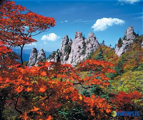 청마조경 이미지