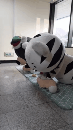 둘이서 뽀짝뽀짝 심폐소생술 연습하는 수호랑 반다비.gif | 인스티즈