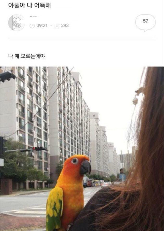얘들아....... 나 어떡해?.jpg | 인스티즈