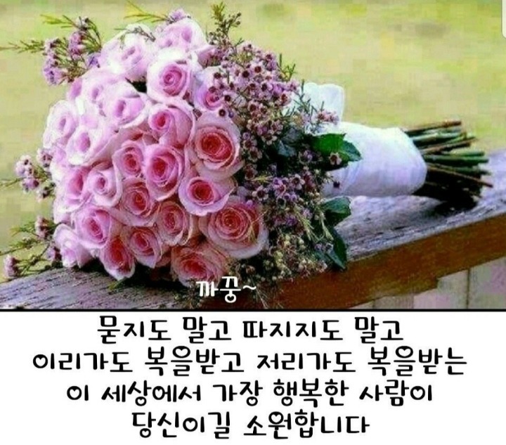 새론에너지 이미지
