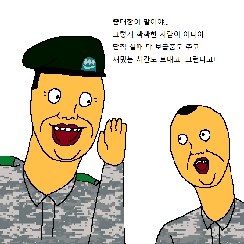 중대장이 실망하는 만화 | 인스티즈