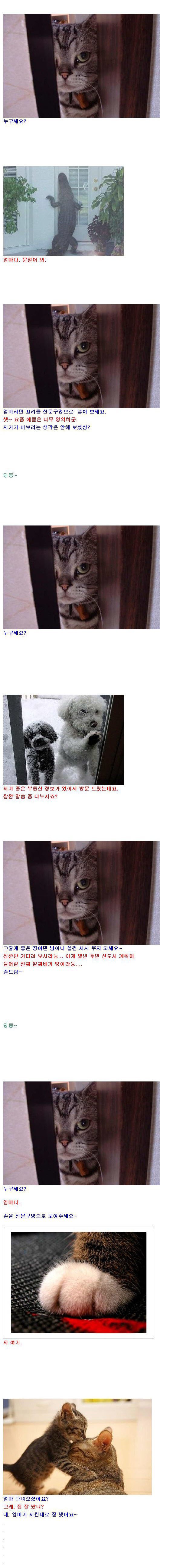 엄마 시장갔다 올테니 아무한테도 문열어주지 마렴 | 인스티즈