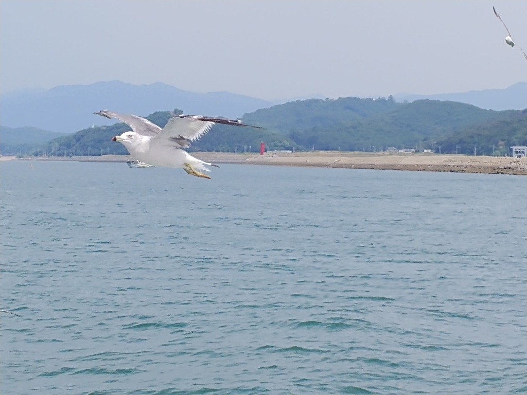 2020년 좋은 여행방향,날짜,시간 - 남은작명철학원-신생아작명 개명 철학관 무료이름풀이 사주궁합 울산철학관 추천-8월 22일, 31일 오늘의... 